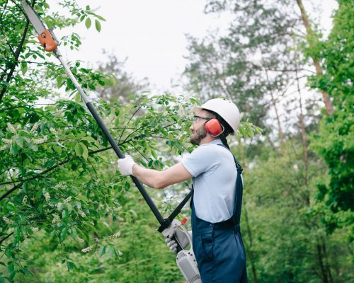 gardener in helmet and overalls trimming trees with telescopic pole saw in garden